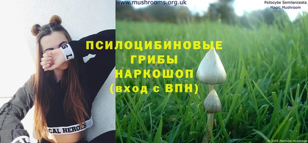 хмурый Балахна
