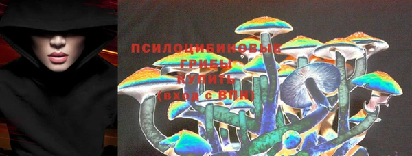 дживик Баксан