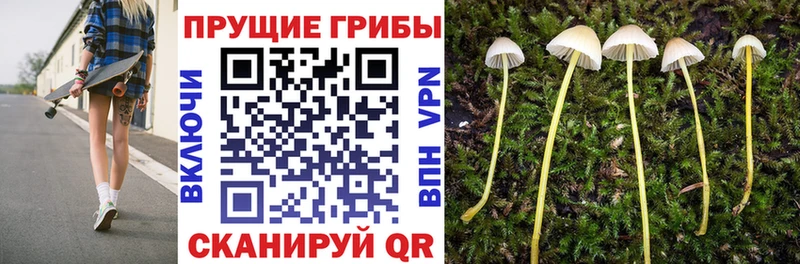 Псилоцибиновые грибы MAGIC MUSHROOMS Солигалич